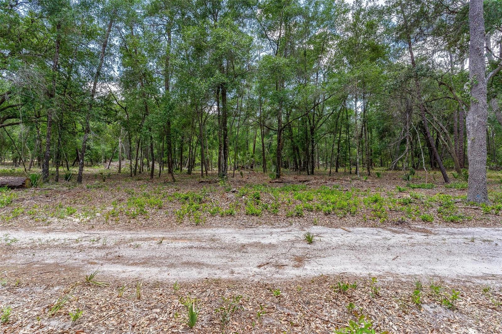 Se 152nd - Lot 16 (ravenswood Rd) Parcel B Pl Property Photo 25