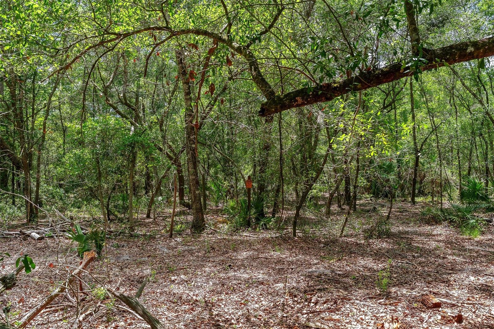 Se 152nd - Lot 16 (ravenswood Rd) Parcel B Pl Property Photo 26