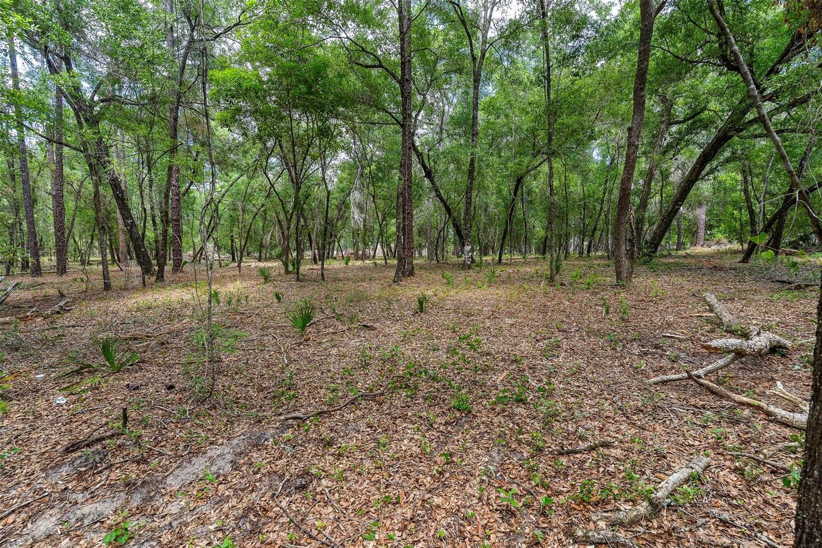 Se 152nd - Lot 16 (ravenswood Rd) Parcel B Pl Property Photo 27