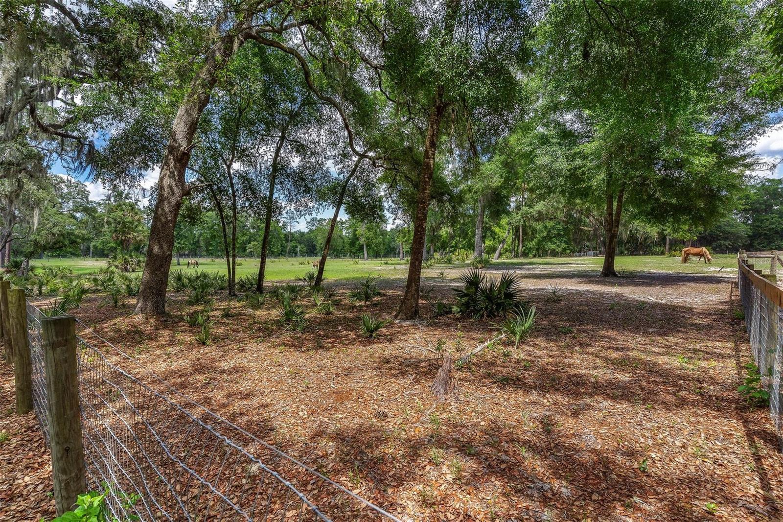 Se 152nd - Lot 16 (ravenswood Rd) Parcel B Pl Property Photo 28