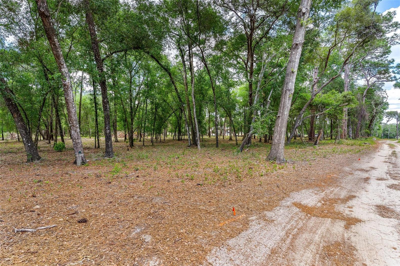 Se 152nd - Lot 16 (ravenswood Rd) Parcel B Pl Property Photo 30