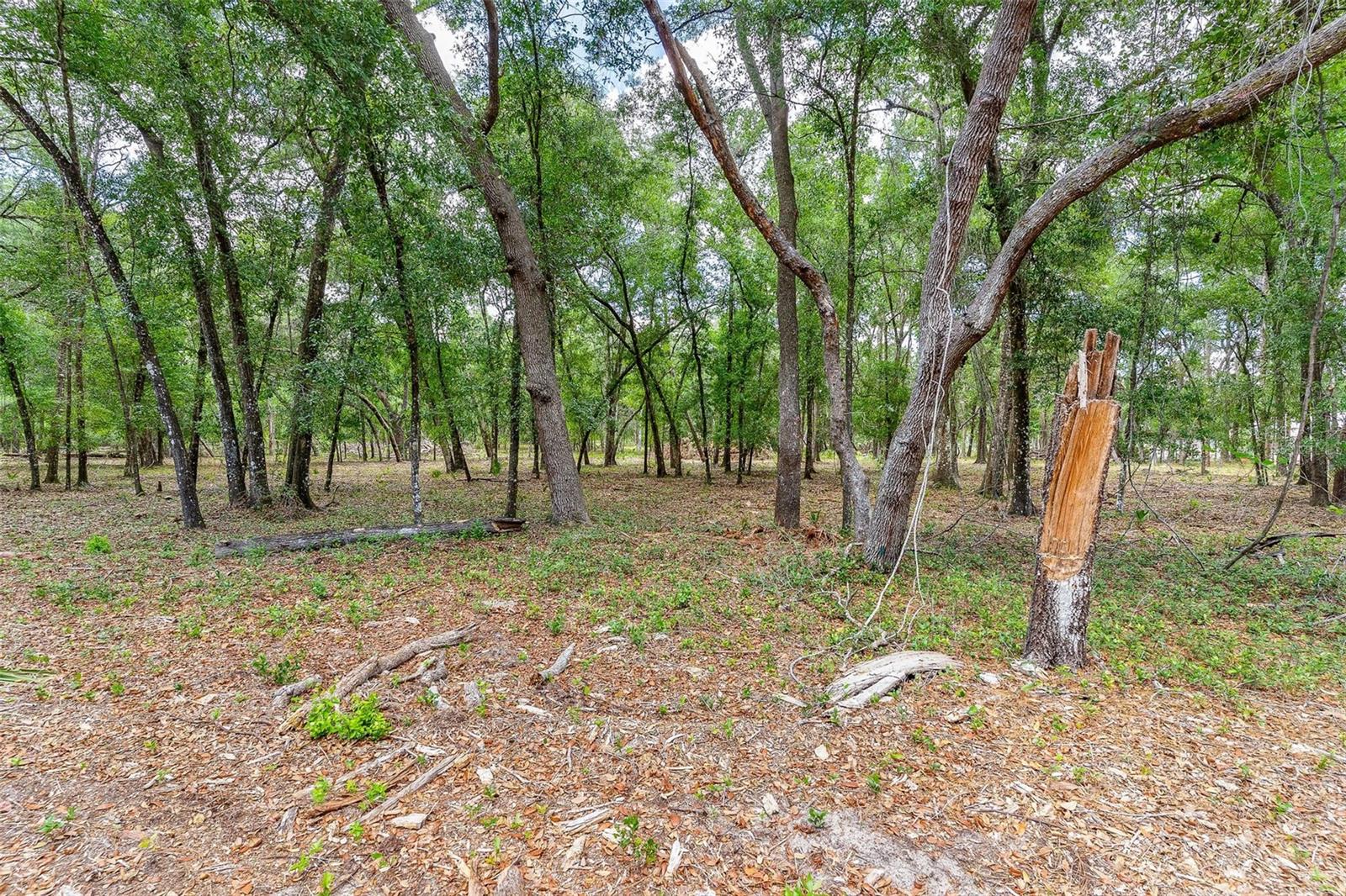 Se 152nd - Lot 16 (ravenswood Rd) Parcel B Pl Property Photo 31
