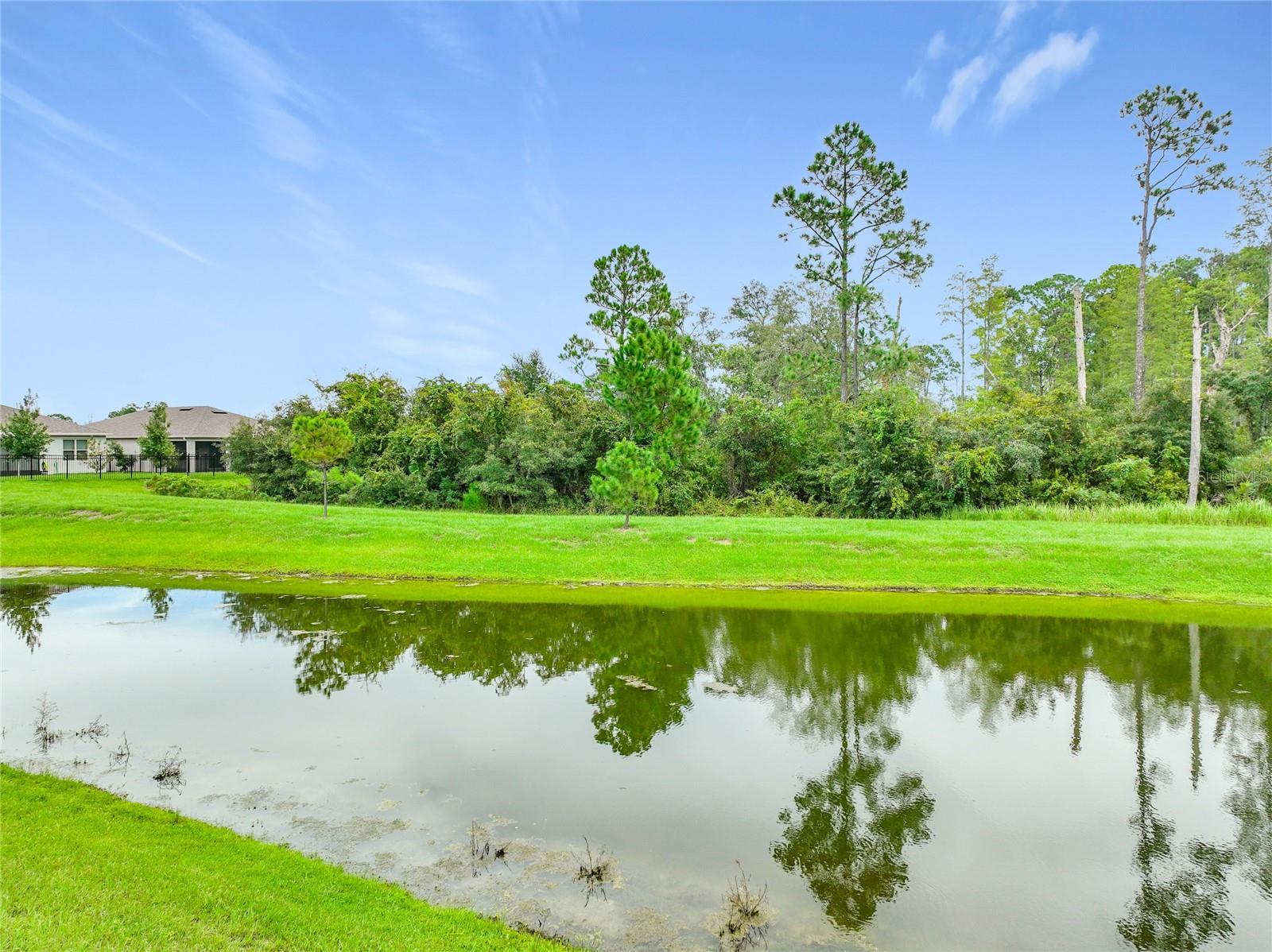 3456 Twin Flower Ct Property Photo 39