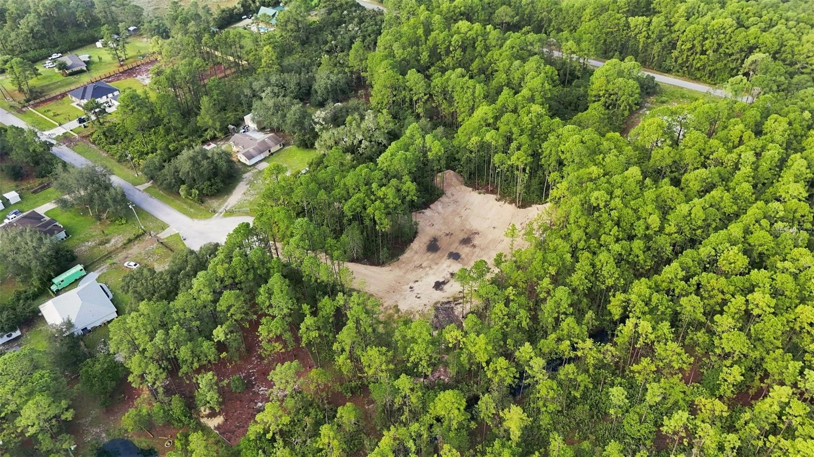 Alder Way Property Photo 8