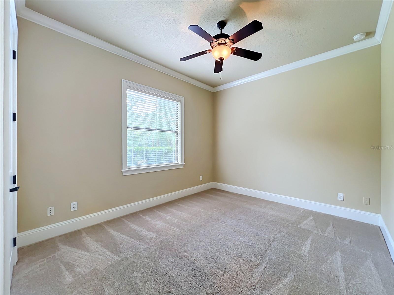 35719 High Pines Dr Property Photo 54