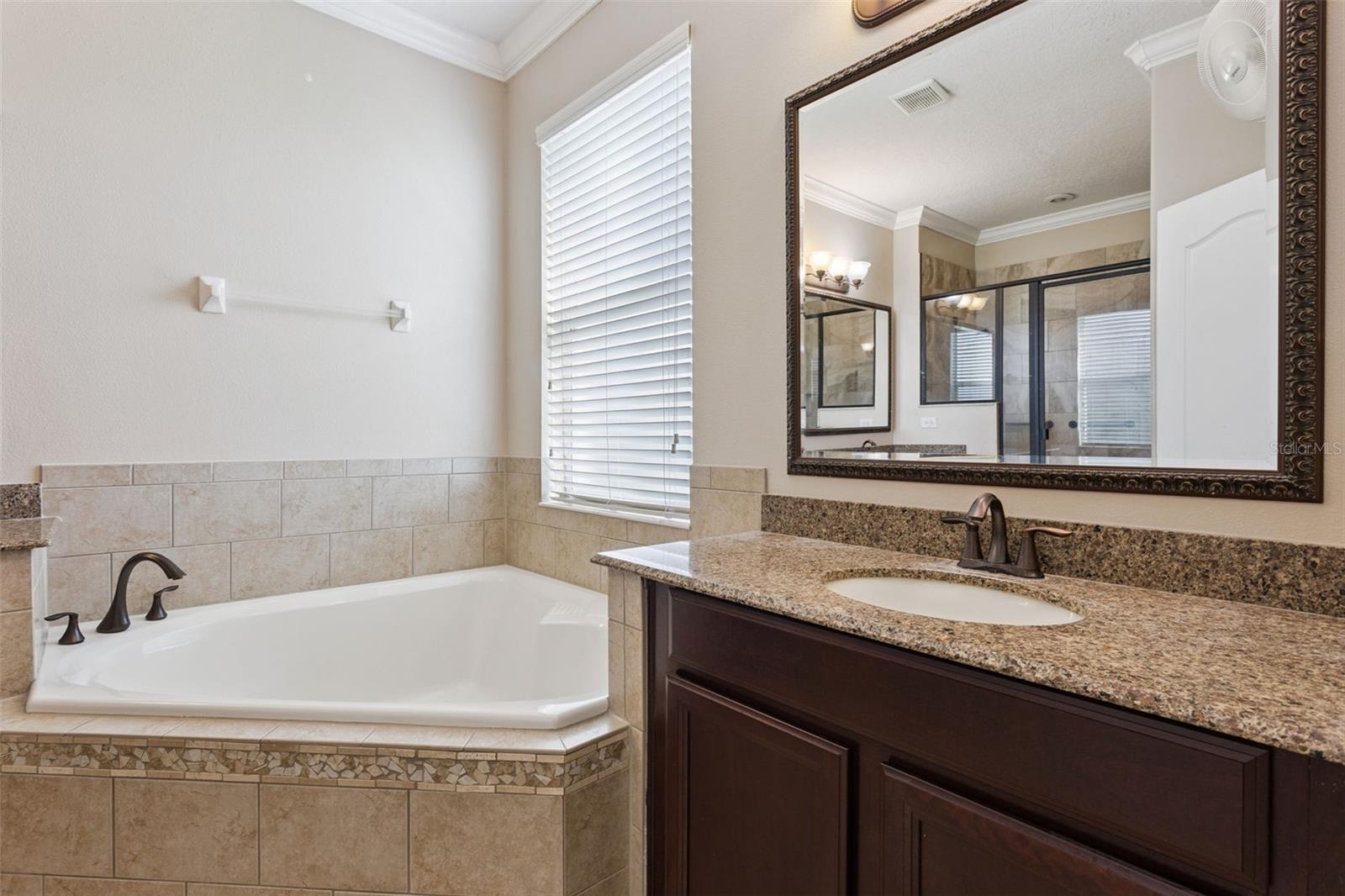 3065 Murano Ct Property Photo 28