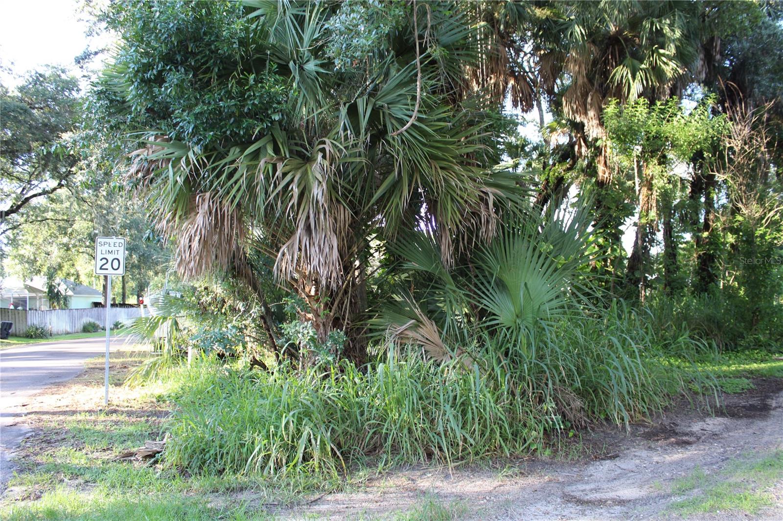 7023 Jasmine Ave Property Photo 1