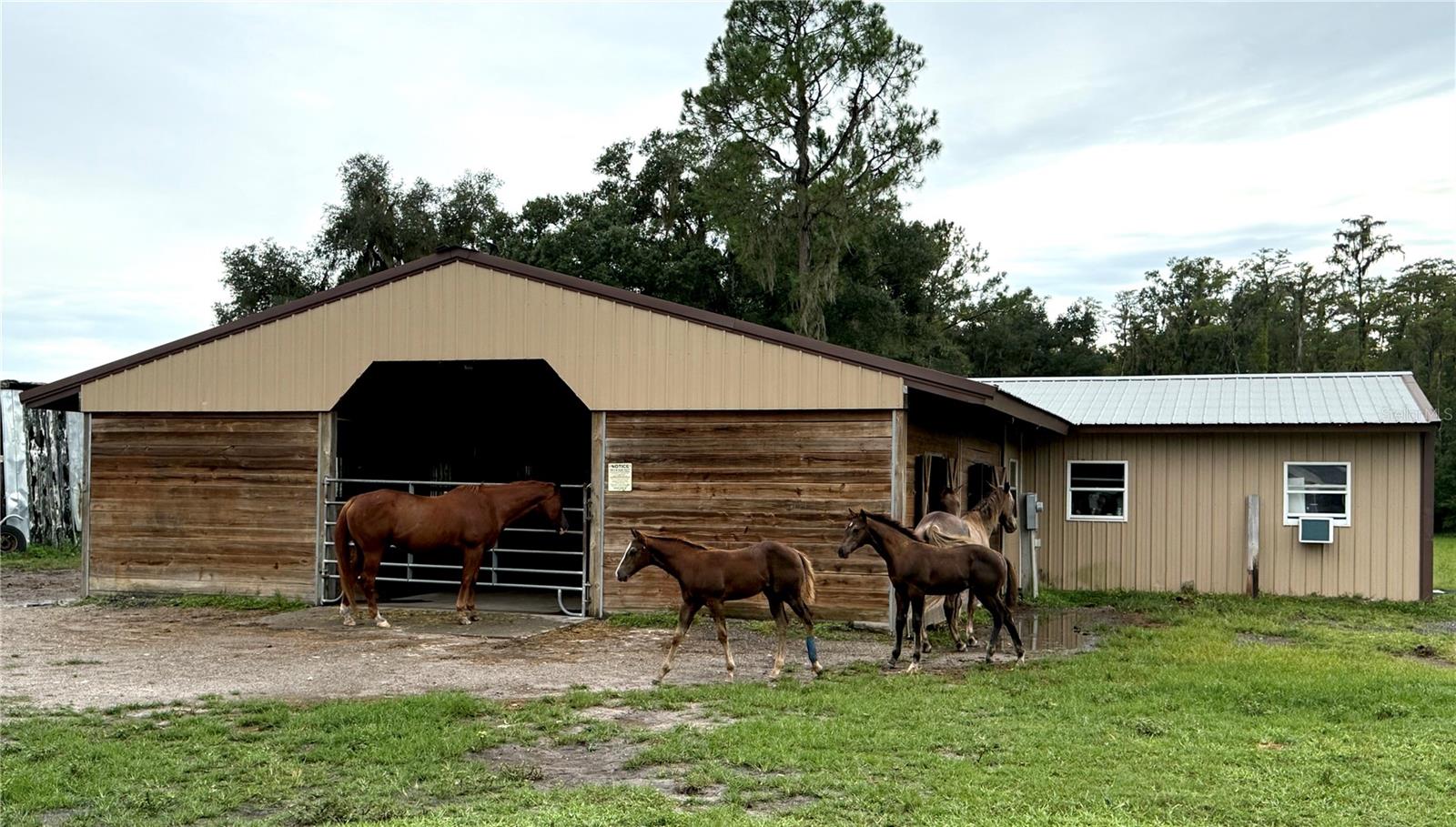 14875 Cr 751 Property Photo 5