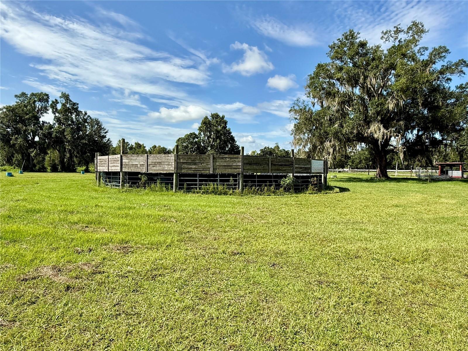 14875 Cr 751 Property Photo 32