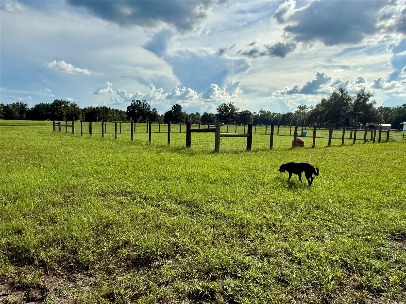 14875 Cr 751 Property Photo 35