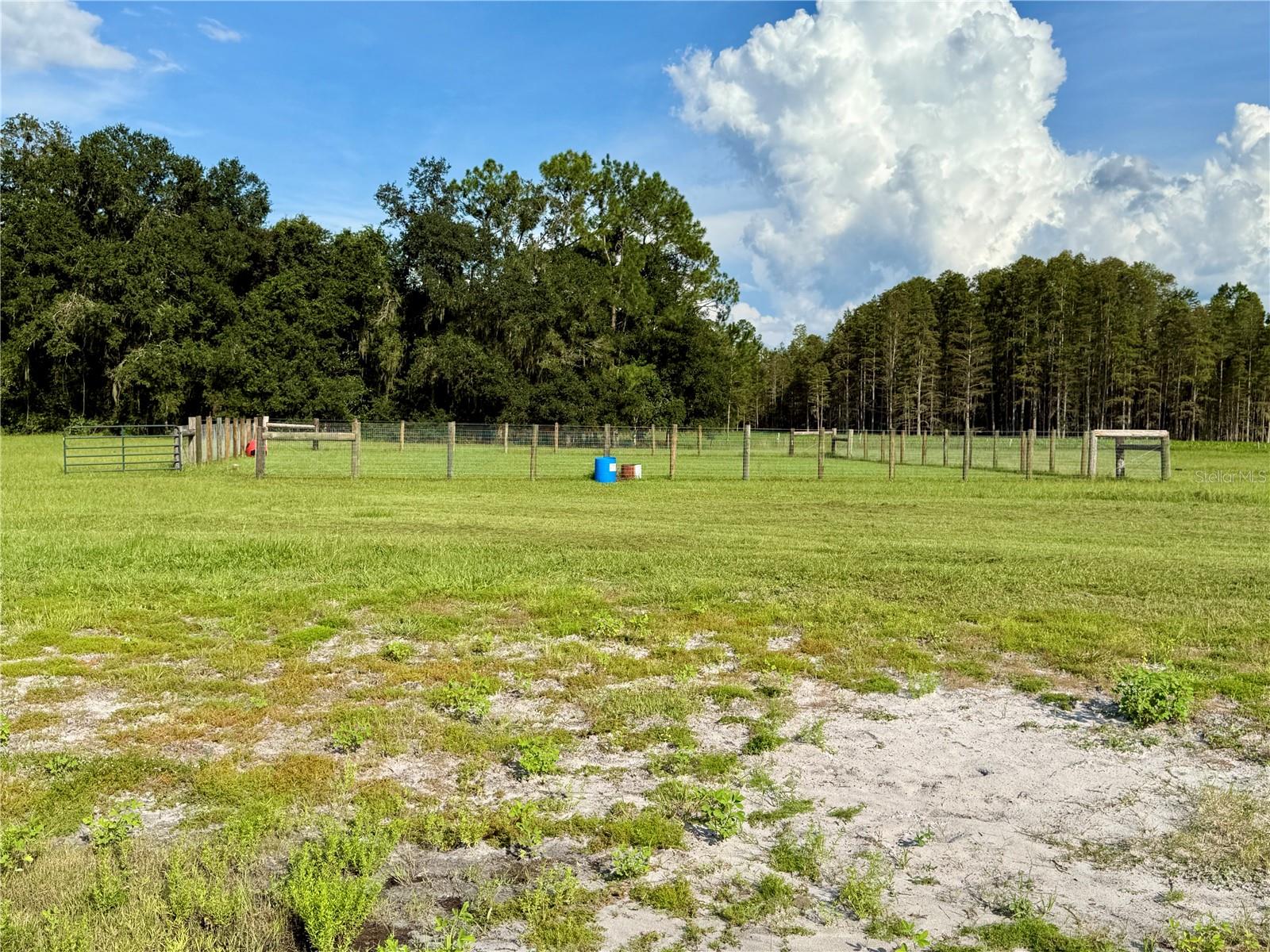 14875 Cr 751 Property Photo 36