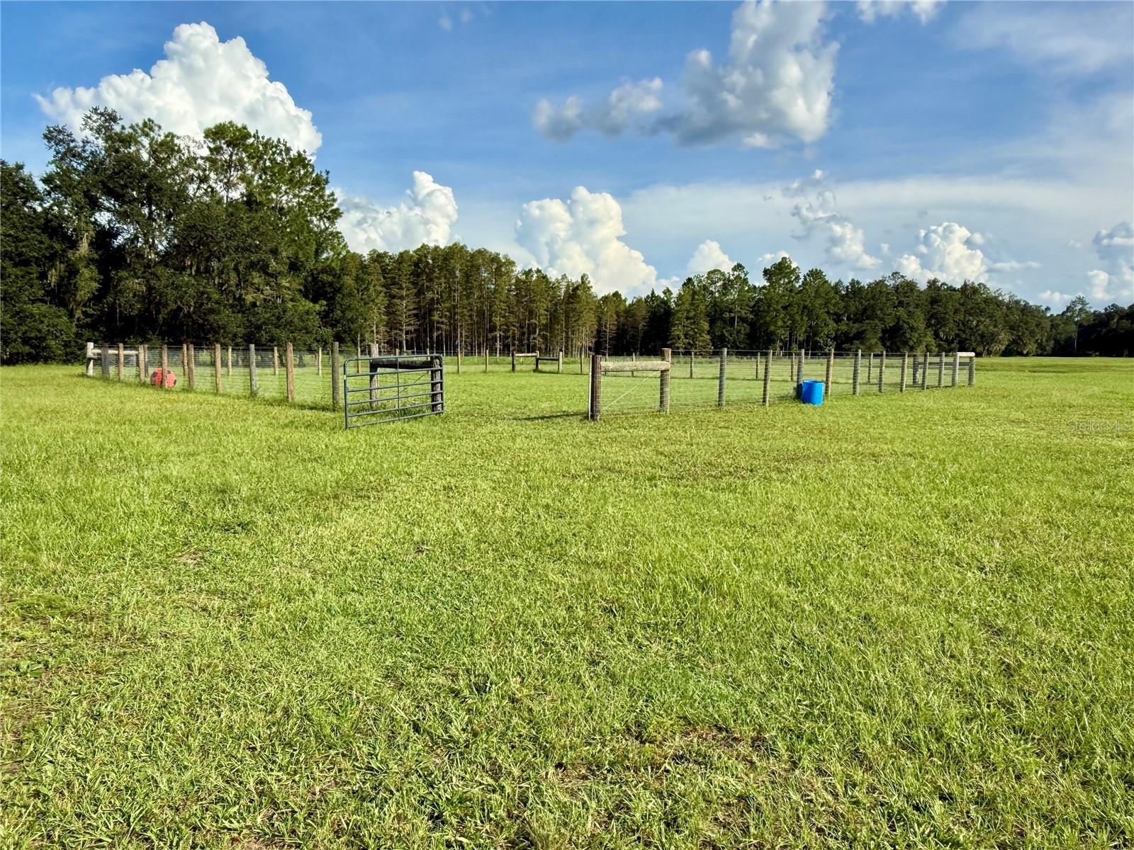 14875 Cr 751 Property Photo 37