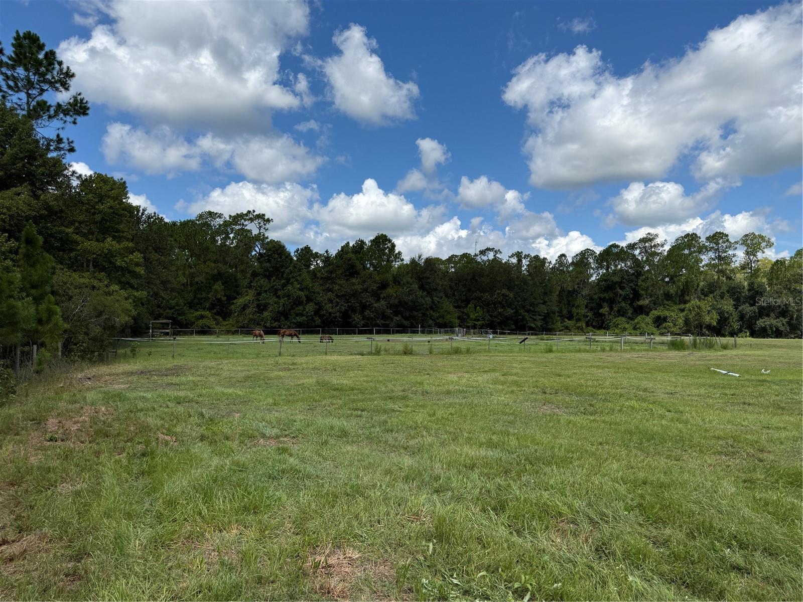 14875 Cr 751 Property Photo 39
