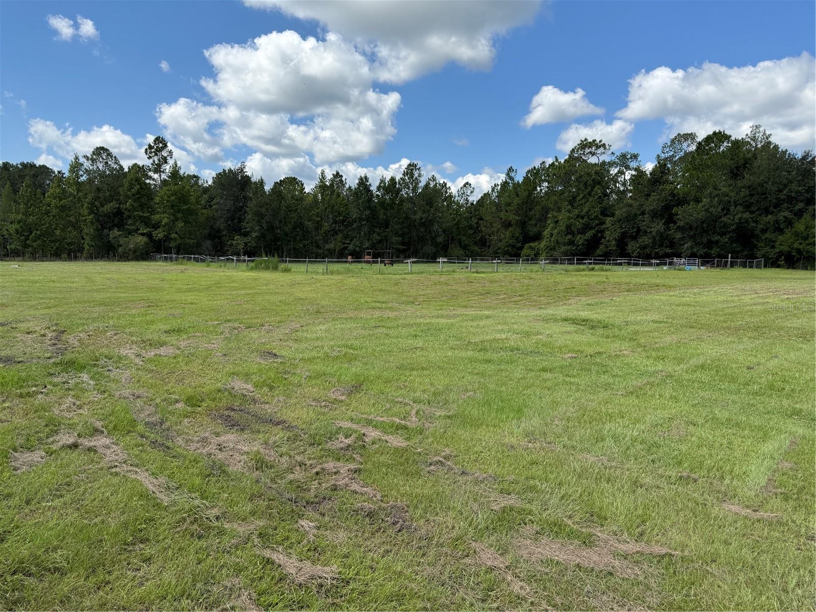 14875 Cr 751 Property Photo 40