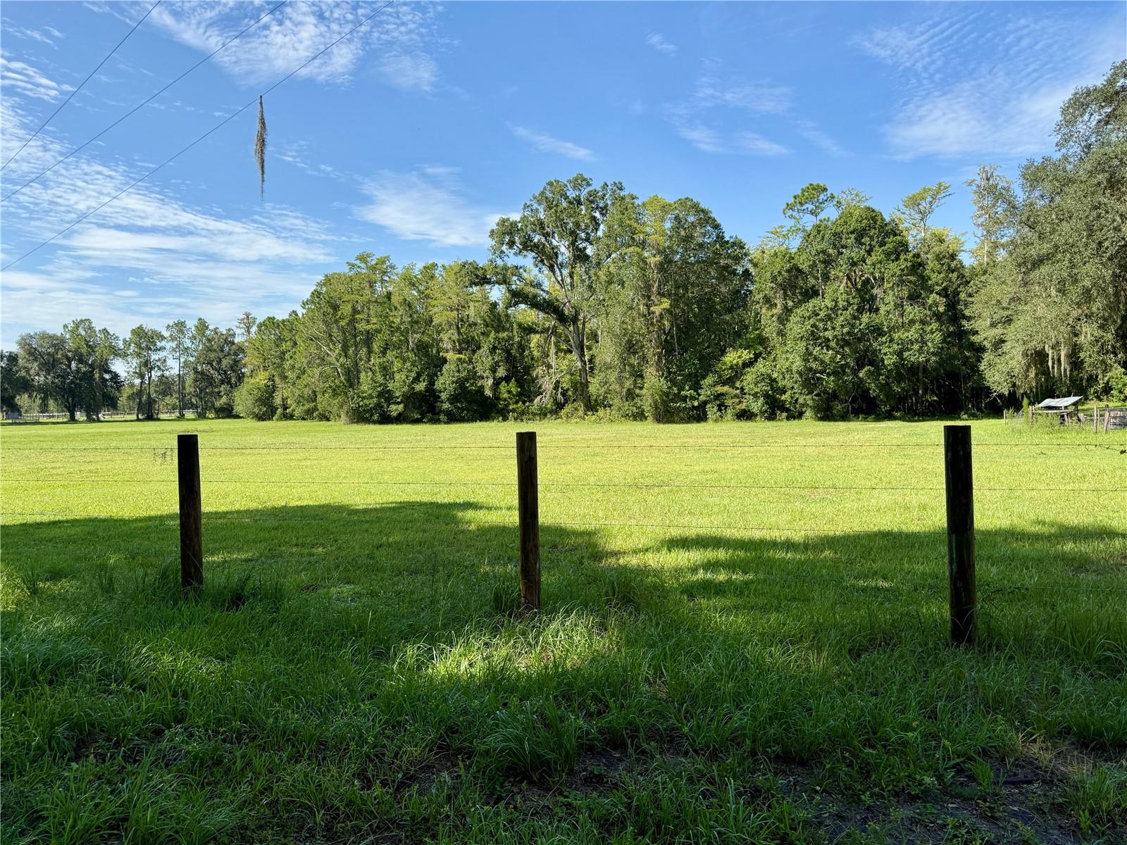 14875 Cr 751 Property Photo 43