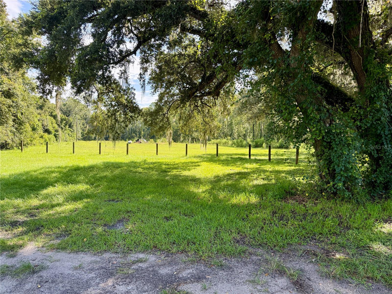 14875 Cr 751 Property Photo 44