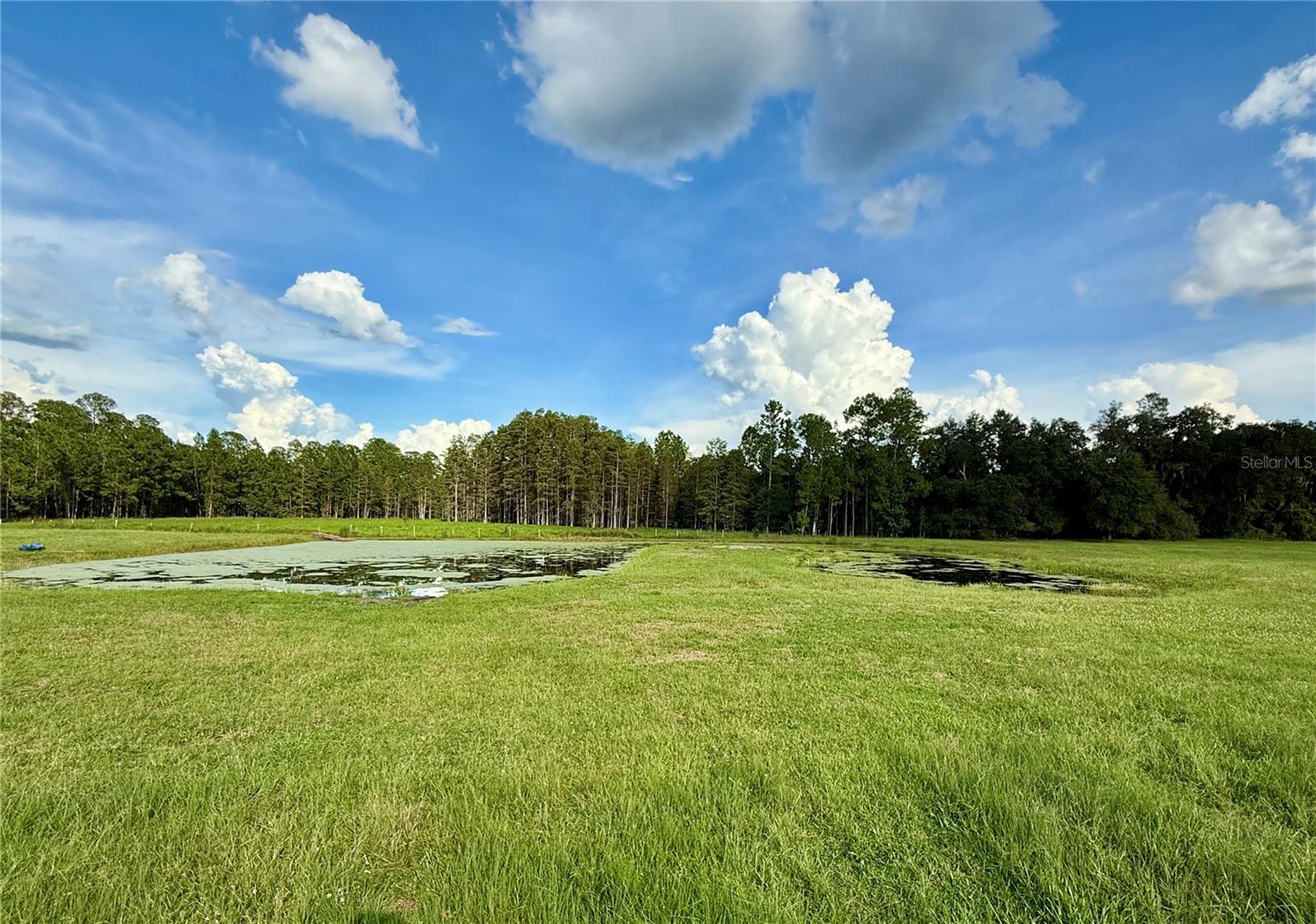 14875 Cr 751 Property Photo 48