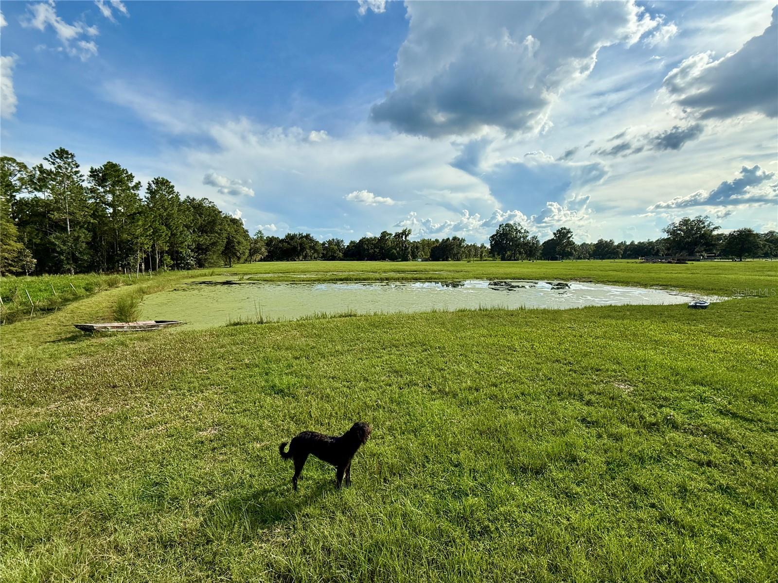 14875 Cr 751 Property Photo 49