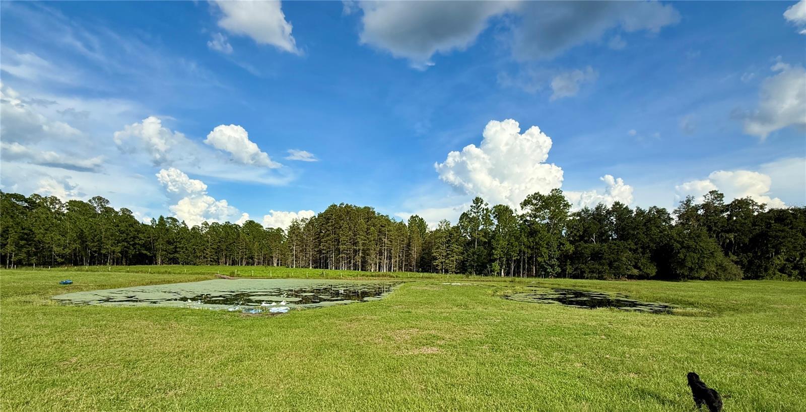 14875 Cr 751 Property Photo 50