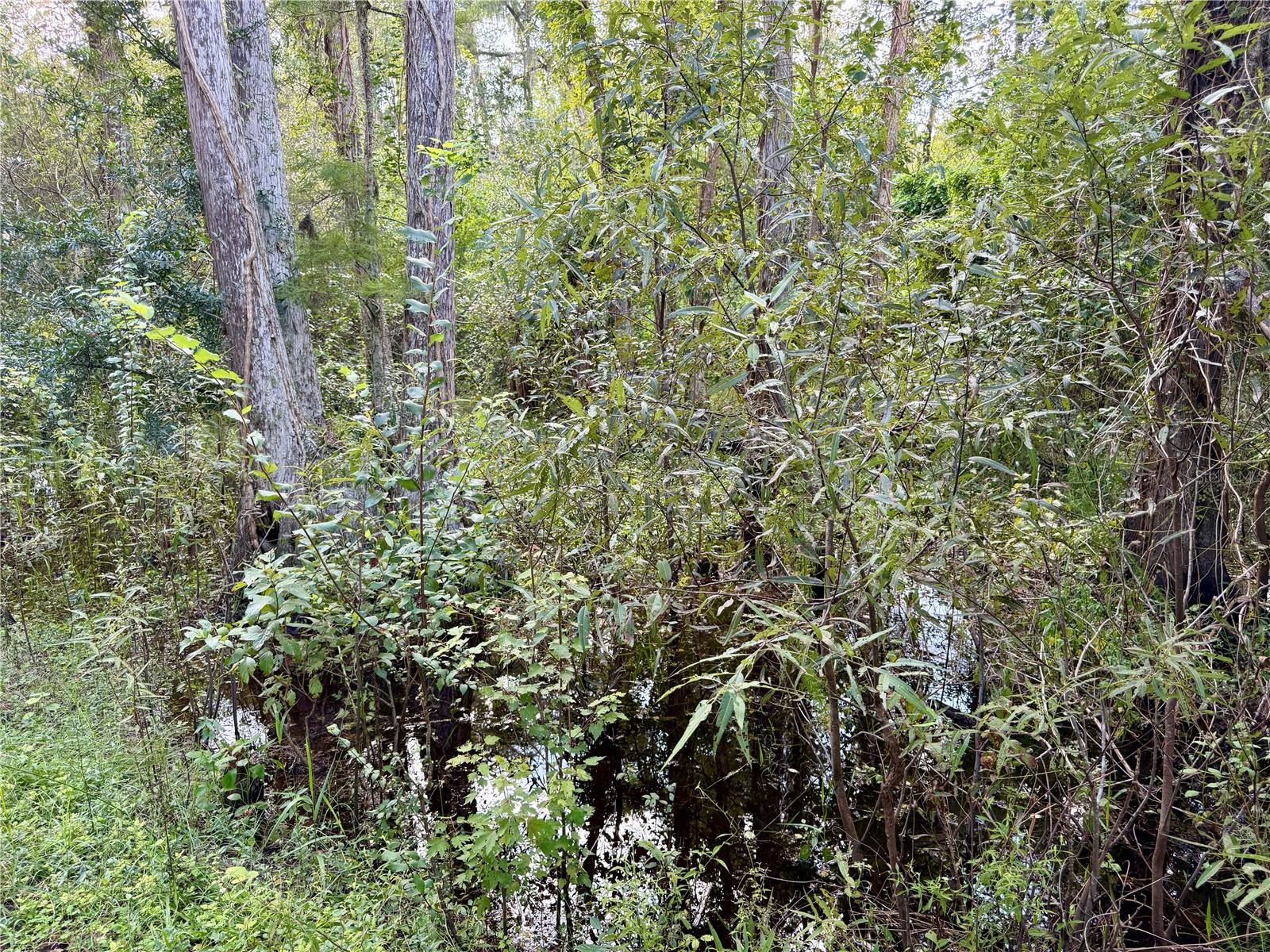 14875 Cr 751 Property Photo 55