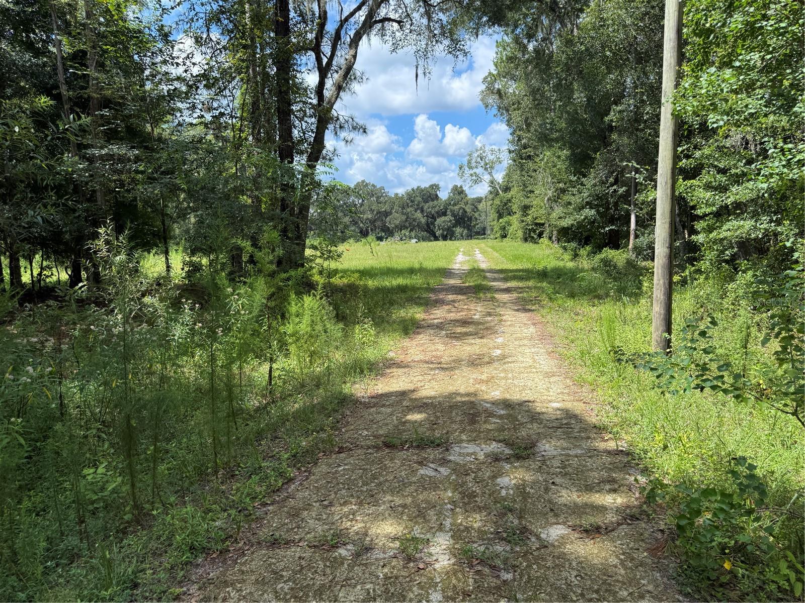 14875 Cr 751 Property Photo 81