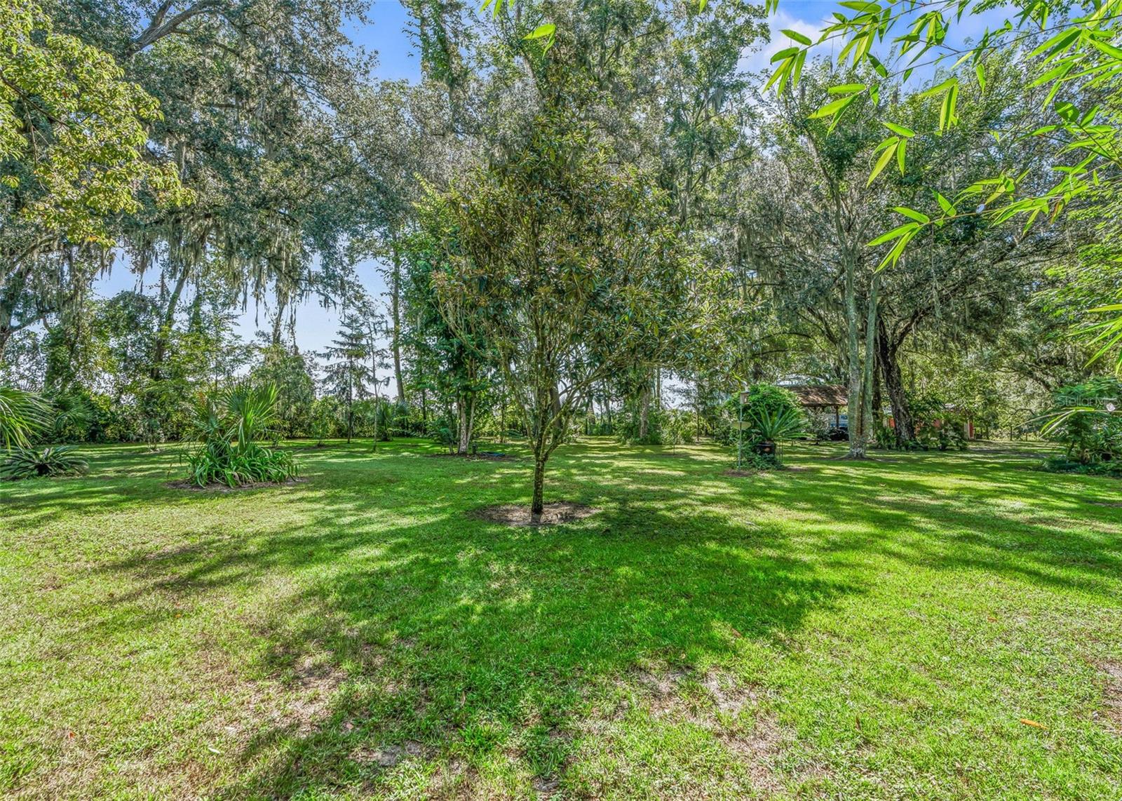 1295 N Us 301 Property Photo 31
