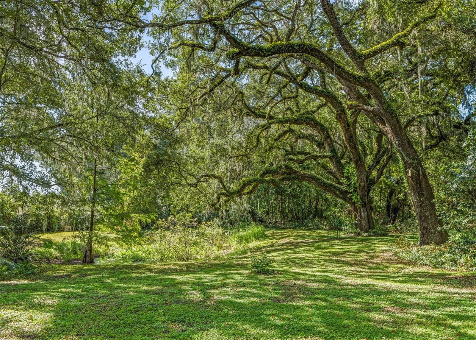 1295 N Us 301 Property Photo 44