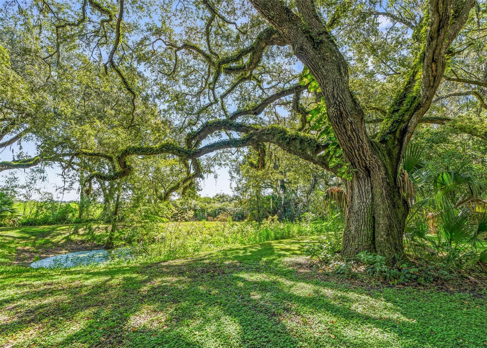 1295 N Us 301 Property Photo 45