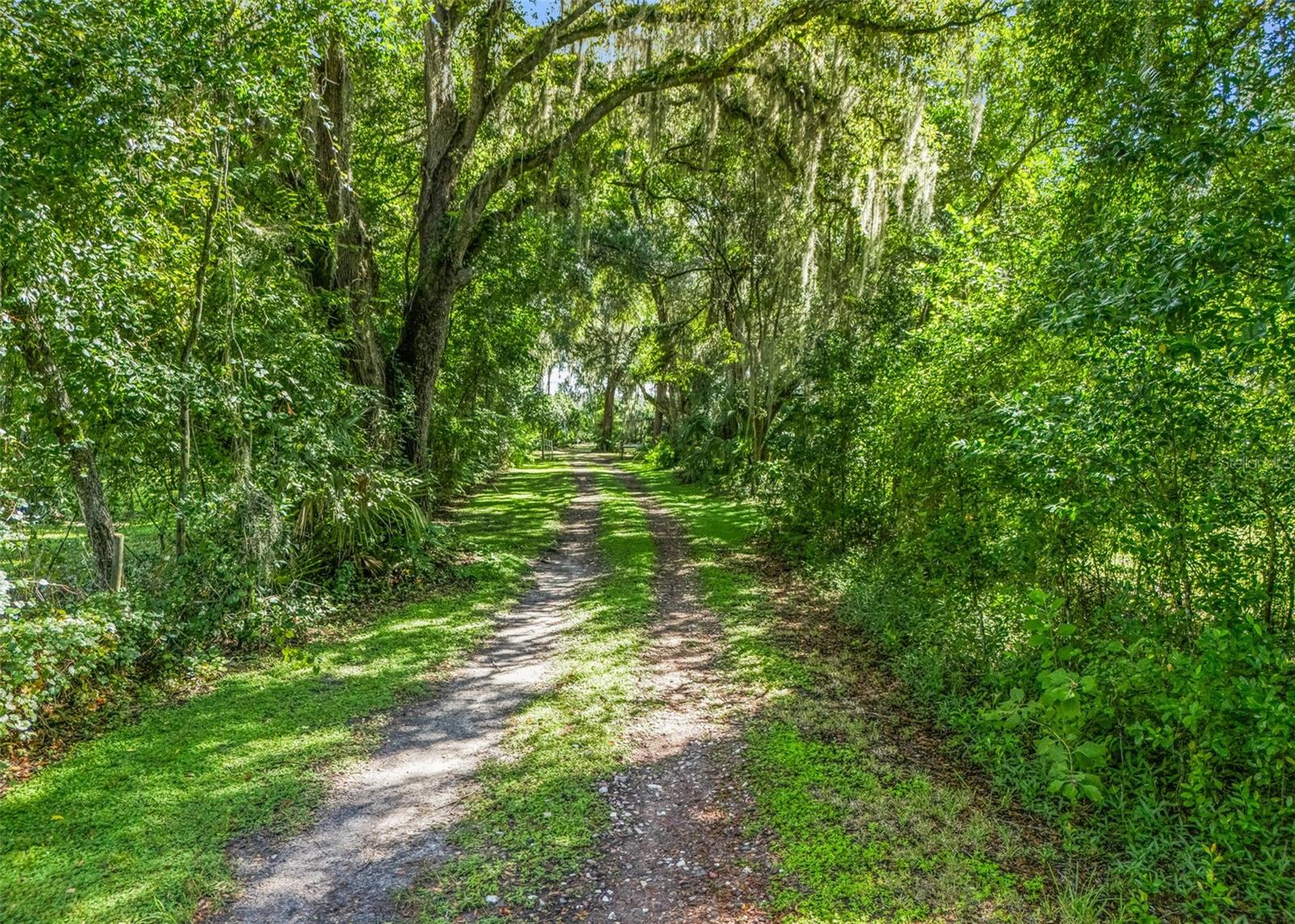 1295 N Us 301 Property Photo 46
