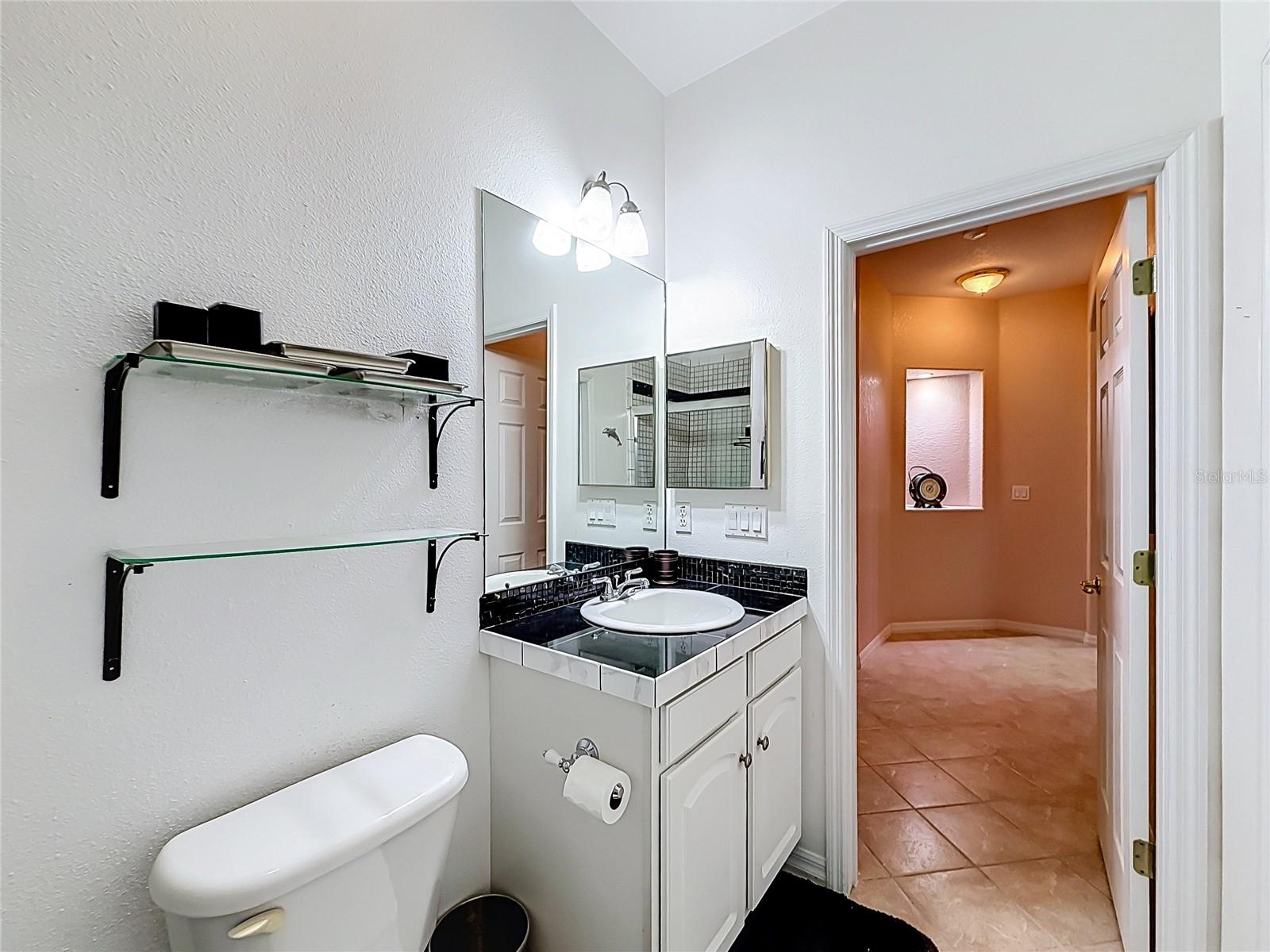 9833 Spring Lake Dr Property Photo 84