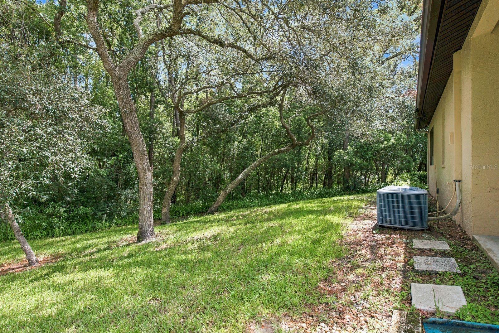 6810 Plumleaf Ct Property Photo 20