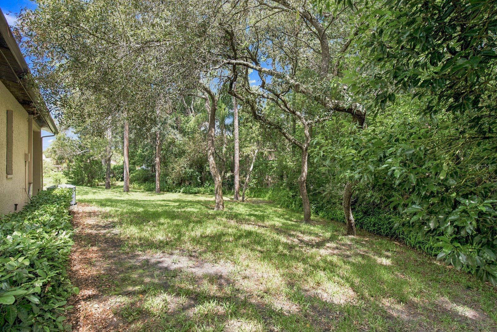 6810 Plumleaf Ct Property Photo 22