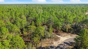 8941 N Farrington Dr Property Photo 3