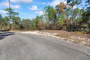 8941 N Farrington Dr Property Photo 4