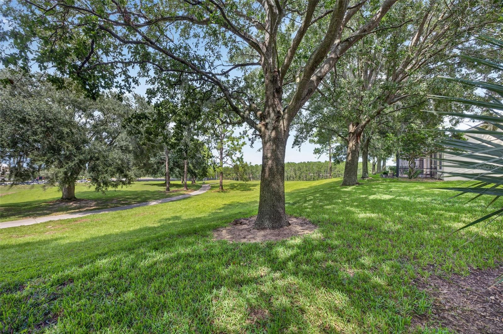 3850 Beacon Ridge Way Property Photo 32