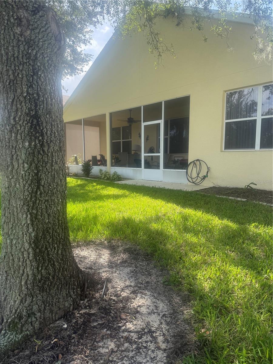 803 Wolf Creek St Property Photo 2