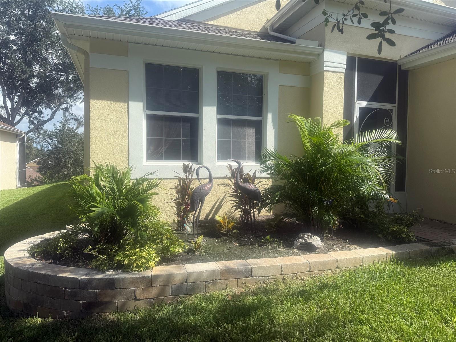 803 Wolf Creek St Property Photo 3