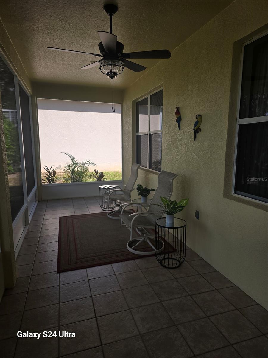 803 Wolf Creek St Property Photo 16