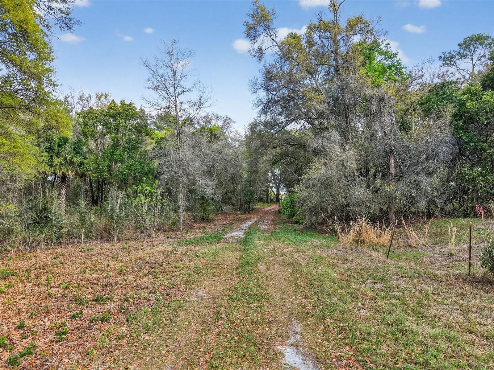 Island Pond Ln Property Photo 7
