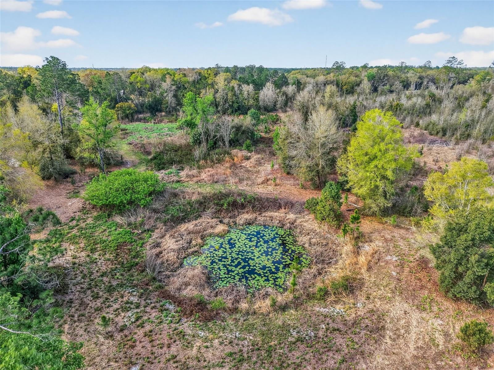 Island Pond Ln Property Photo 8