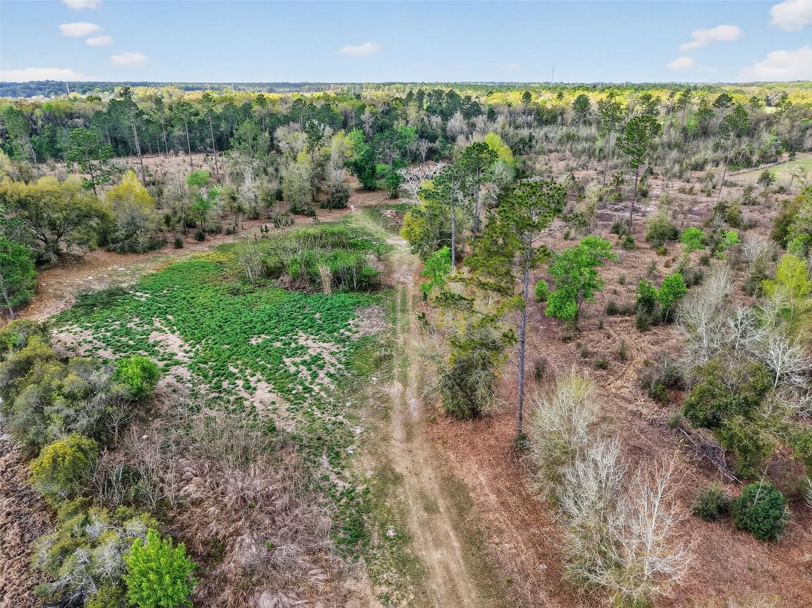 Island Pond Ln Property Photo 17