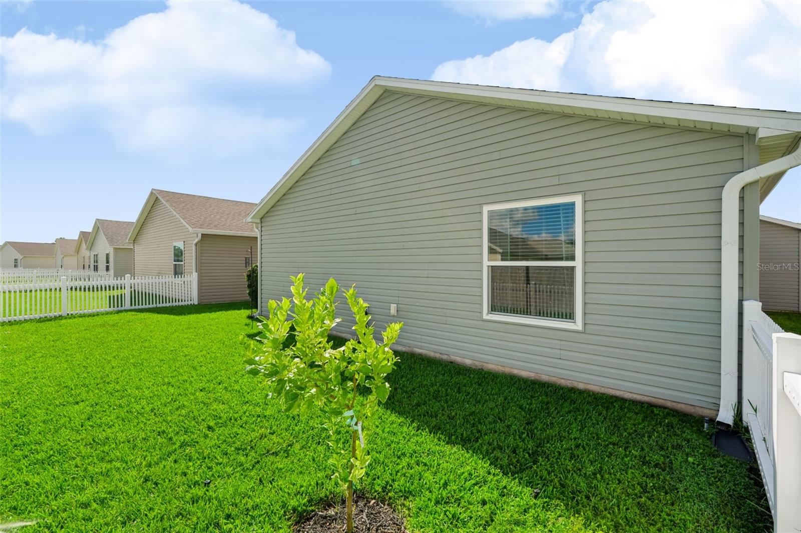 1691 Schau St Property Photo 34