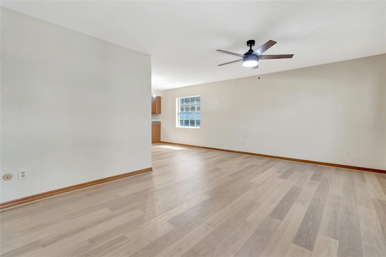 1483 Disston Property Photo 7