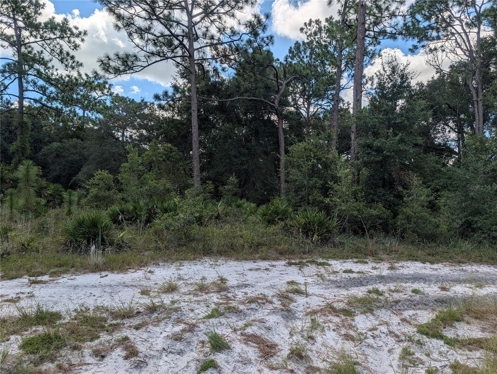 Xxx Wedgewood Cir Property Photo 1