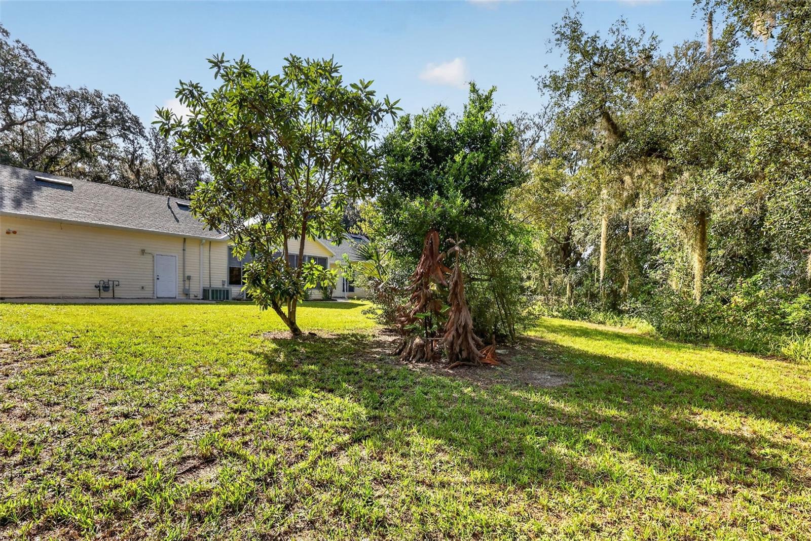 35015 Radio Rd Property Photo 67