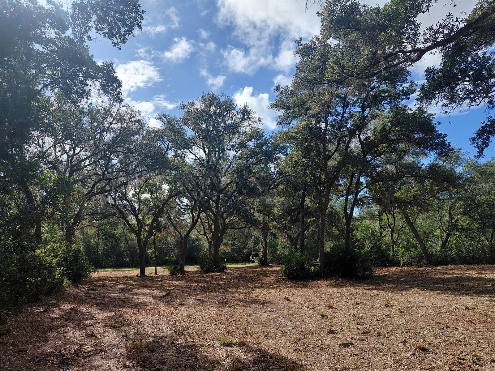 Grindstone Dr Property Photo 2
