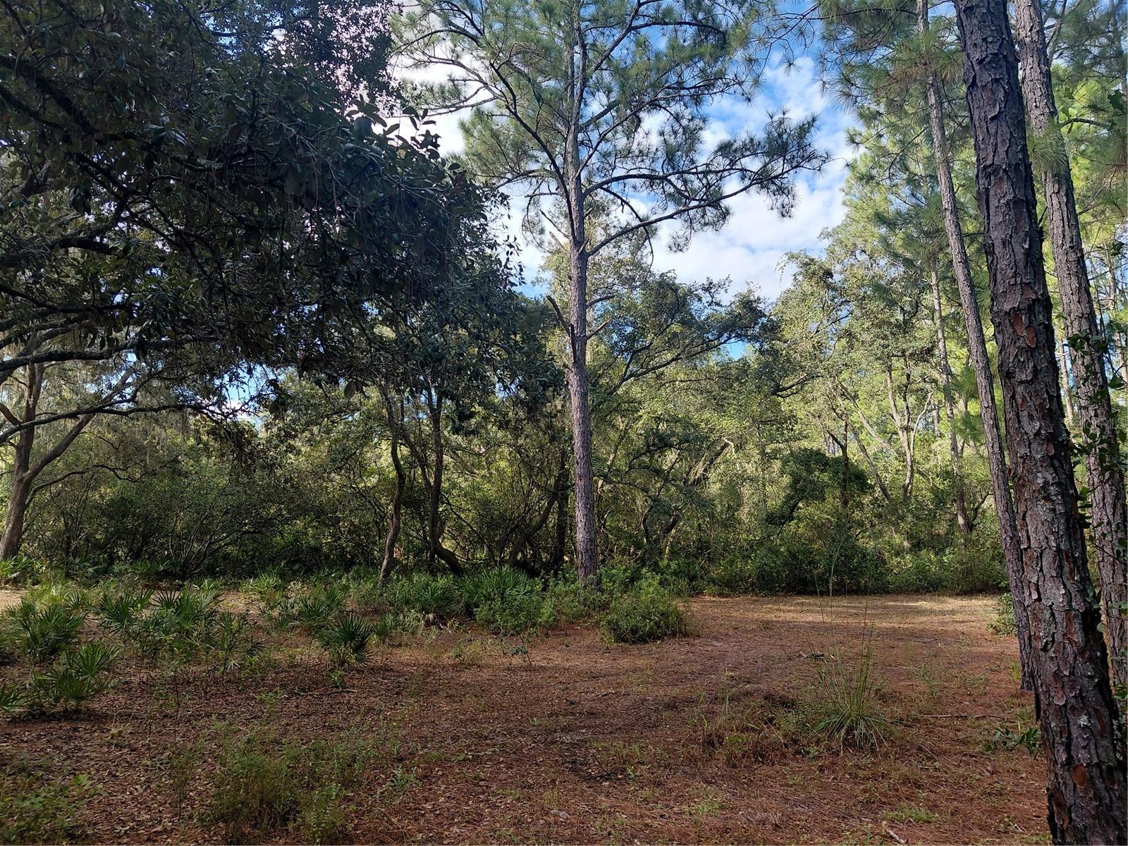 Grindstone Dr Property Photo 3