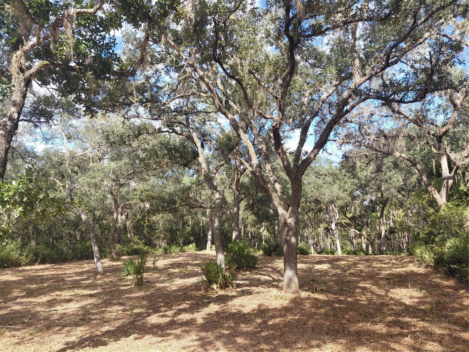 Grindstone Dr Property Photo 6