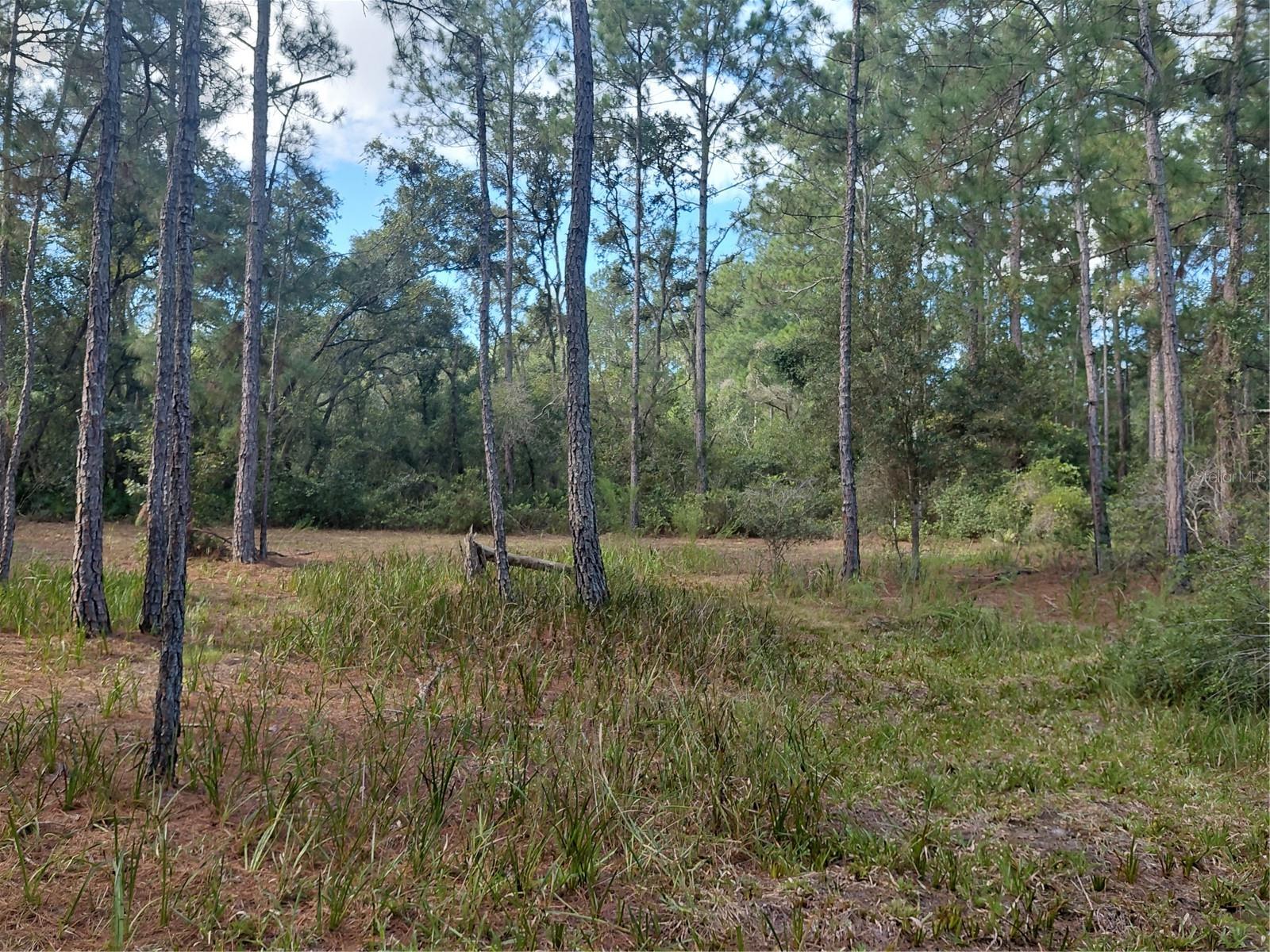 Grindstone Dr Property Photo 10
