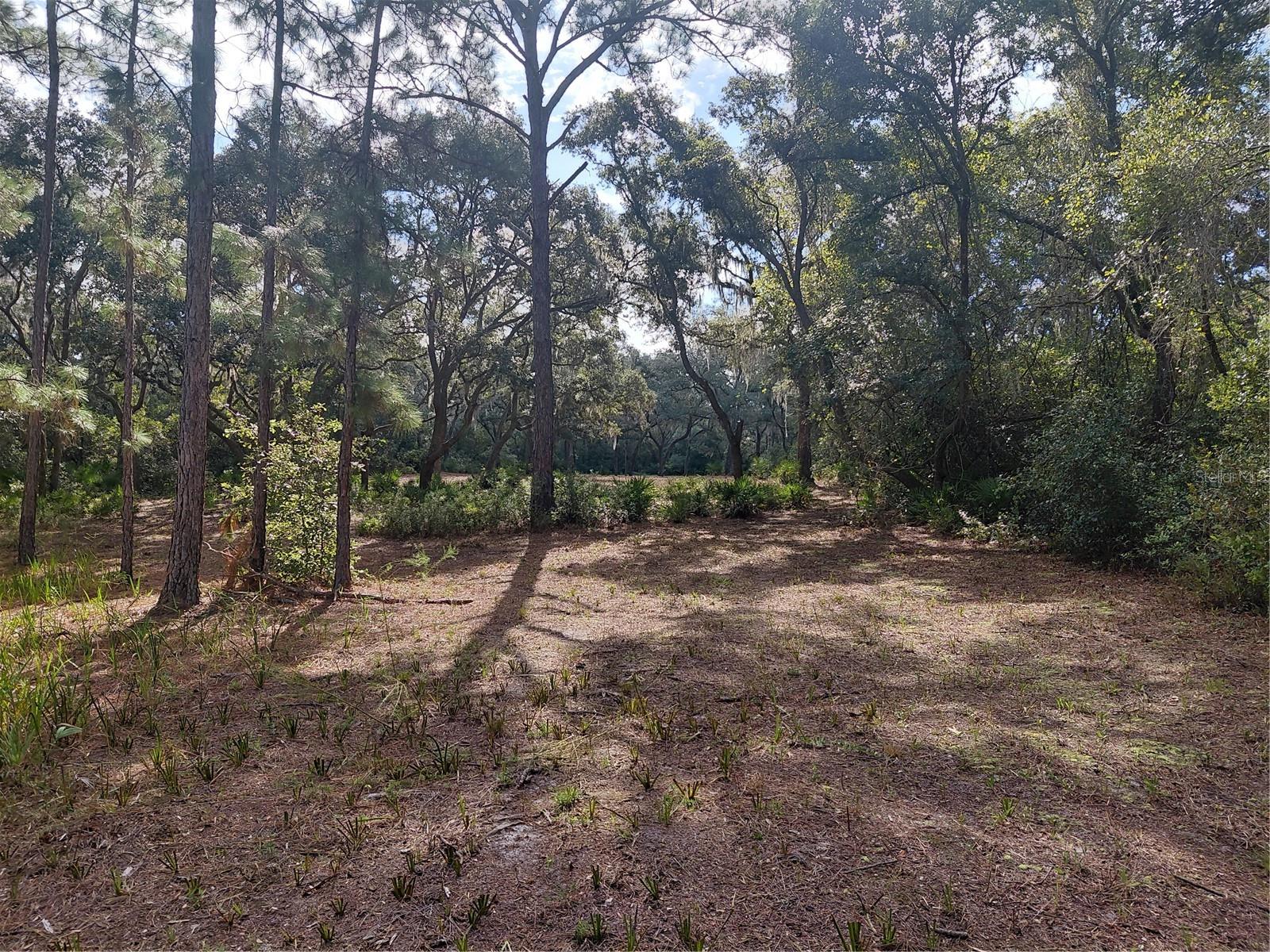 Grindstone Dr Property Photo 11